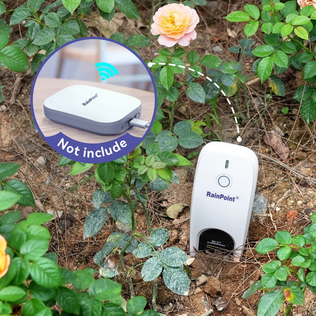 RainPoint Smart Soil And Moisture Sensor