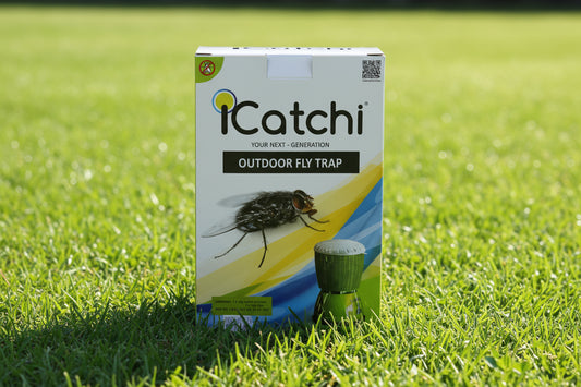 ICATCHI OUTDOOR FLY TRAP - GP Lawnmowers