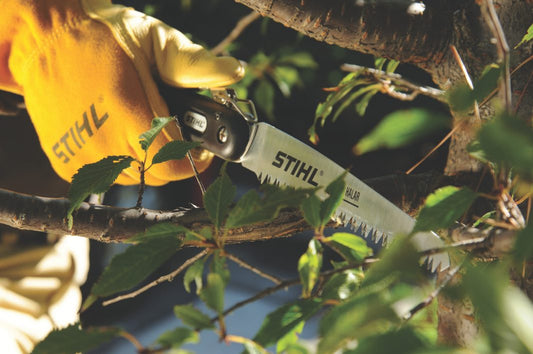 Pruning Saw With A Curved Saw Blade