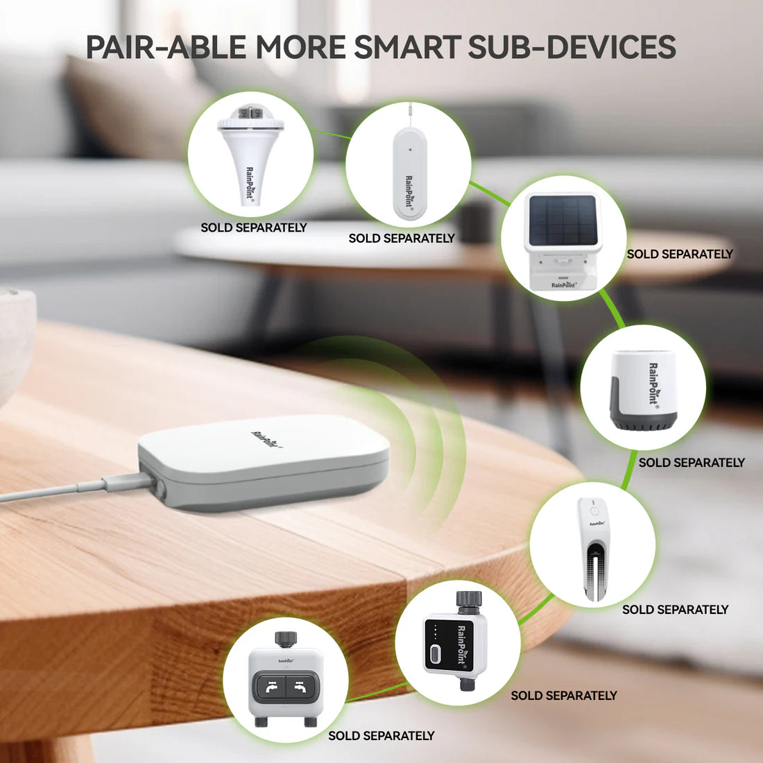 RainPoint Smart Soil And Moisture Sensor