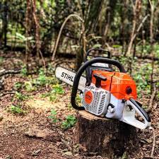 Stihl MS 382 chainsaw for sale resting on a tree stump in a wooded area with green foliage