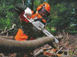 Stihl MS260 chainsaw for sale in use cutting a tree branch by a person wearing safety gear