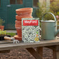 MAYFORD FLOWER SEEDS