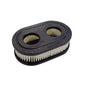 Briggs & Stratton 550 Series Air Filter