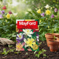 MAYFORD FLOWER SEEDS
