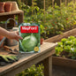 MAYFORD VEGETABLE SEEDS