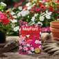 MAYFORD FLOWER SEEDS