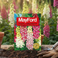 MAYFORD FLOWER SEEDS