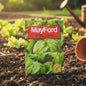 MAYFORD VEGETABLE SEEDS