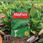 MAYFORD VEGETABLE SEEDS