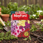 MAYFORD FLOWER SEEDS