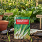 MAYFORD VEGETABLE SEEDS