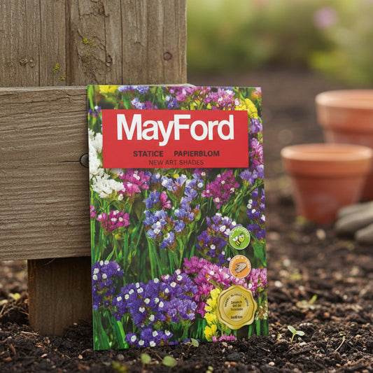 MAYFORD FLOWER SEEDS