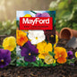 MAYFORD FLOWER SEEDS