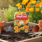 MAYFORD FLOWER SEEDS