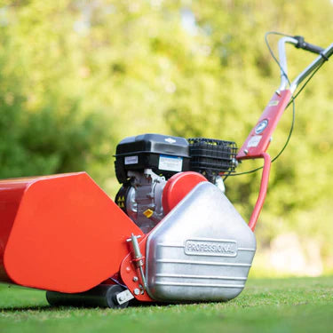 PROFESSIONAL PETROL CYLINDER 14 Inch Mower Briggs & Stratton