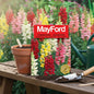 MAYFORD FLOWER SEEDS