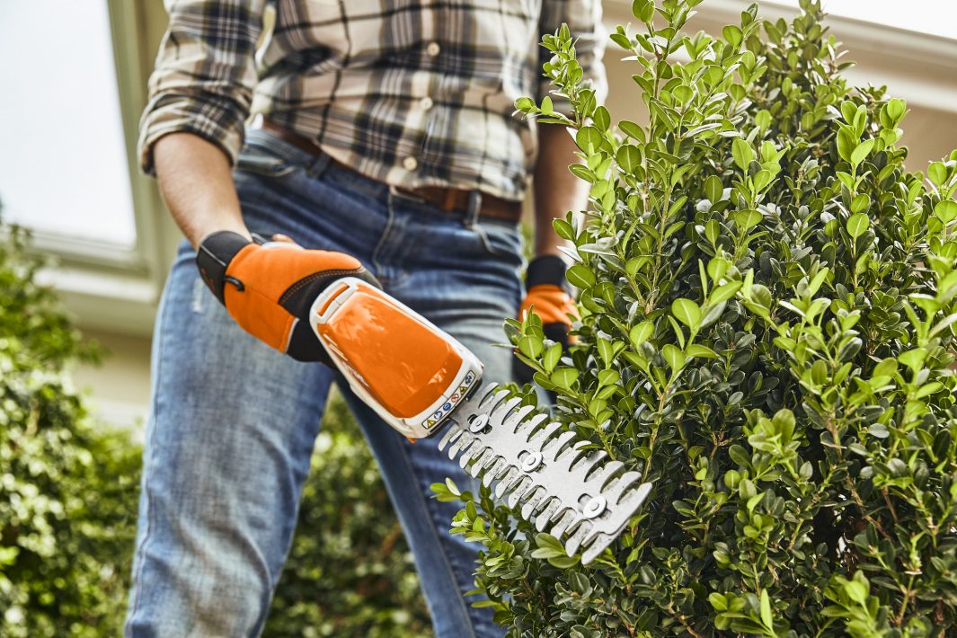 STIHL HSA26 Cordless Shears