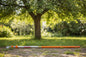 Super Turbocut Telescopic Shaft Only!