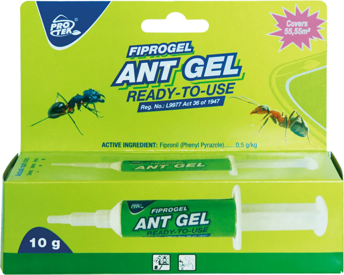 ANT GEL 10G ant killer gel 10g ready-to-use syringe for effective ant control