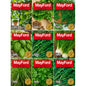 Mayford 9 Pack Herb Seed Collection