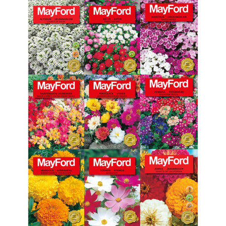 mayford-9-pack-flower-seed-spring-summer-collection