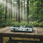 Cadac 2-Plate Gas Stove Stainless Steel (No Regulator)