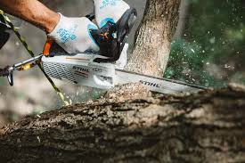 STIHL MS194 chainsaw for sale cutting through a tree log in a forest setting