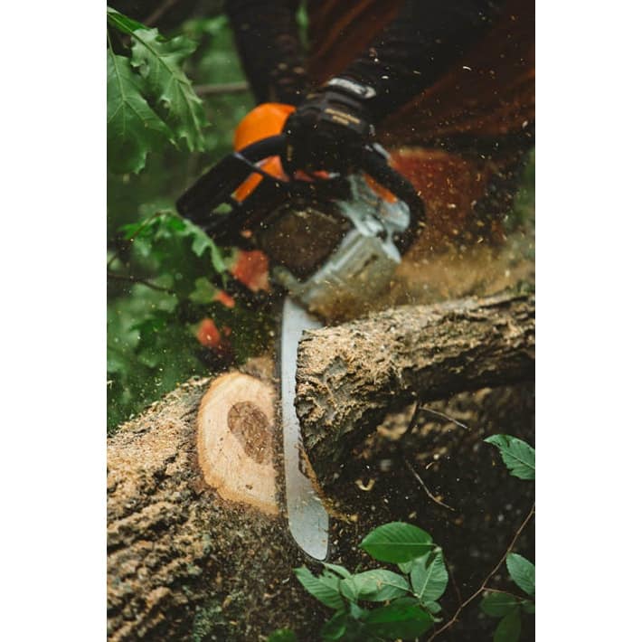 STIHL MS462 chainsaw for sale cutting through thick tree branch in forest setting