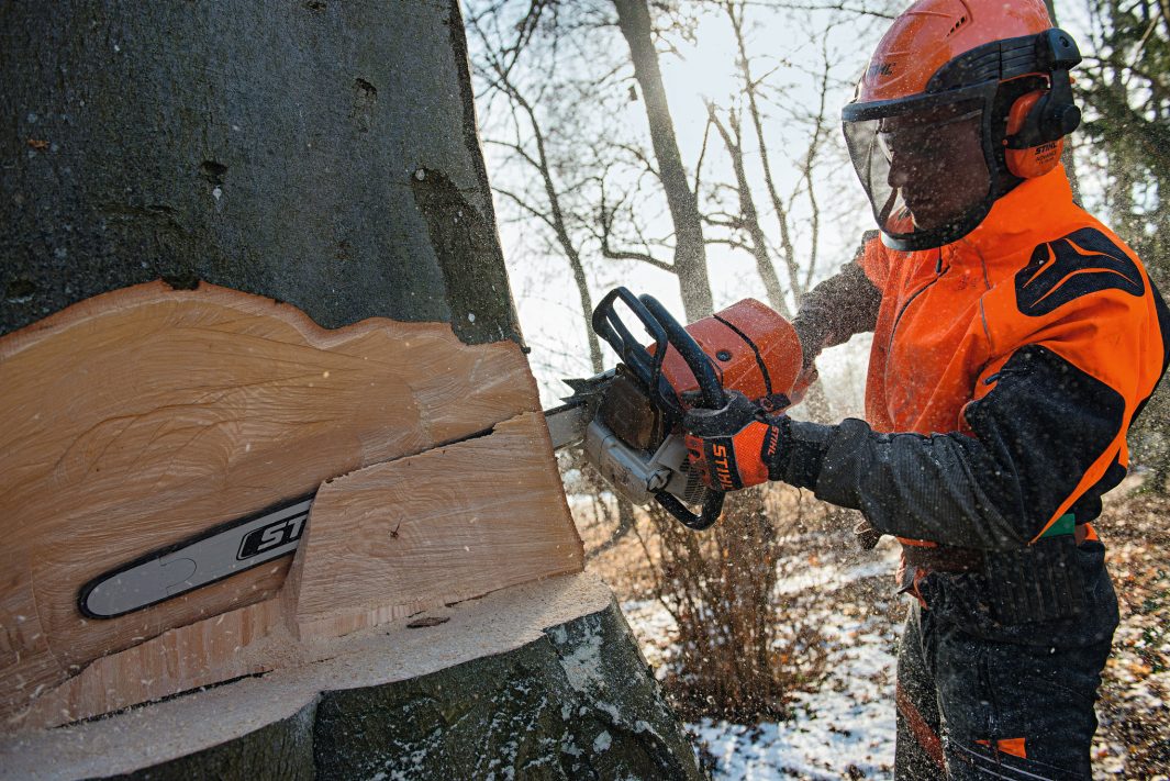 Professional using STIHL MS661C-M chainsaw for sale cutting a large tree trunk outdoors