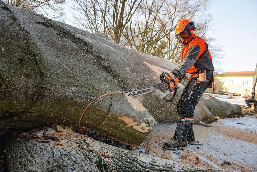 Person cutting large tree trunk with STIHL MS661C-M chainsaw for sale in outdoor winter setting