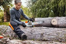 Man using a STIHL MSA60C chainsaw cutting large logs in the forest STIHL MSA60C chainsaw for sale