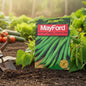 MAYFORD VEGETABLE SEEDS
